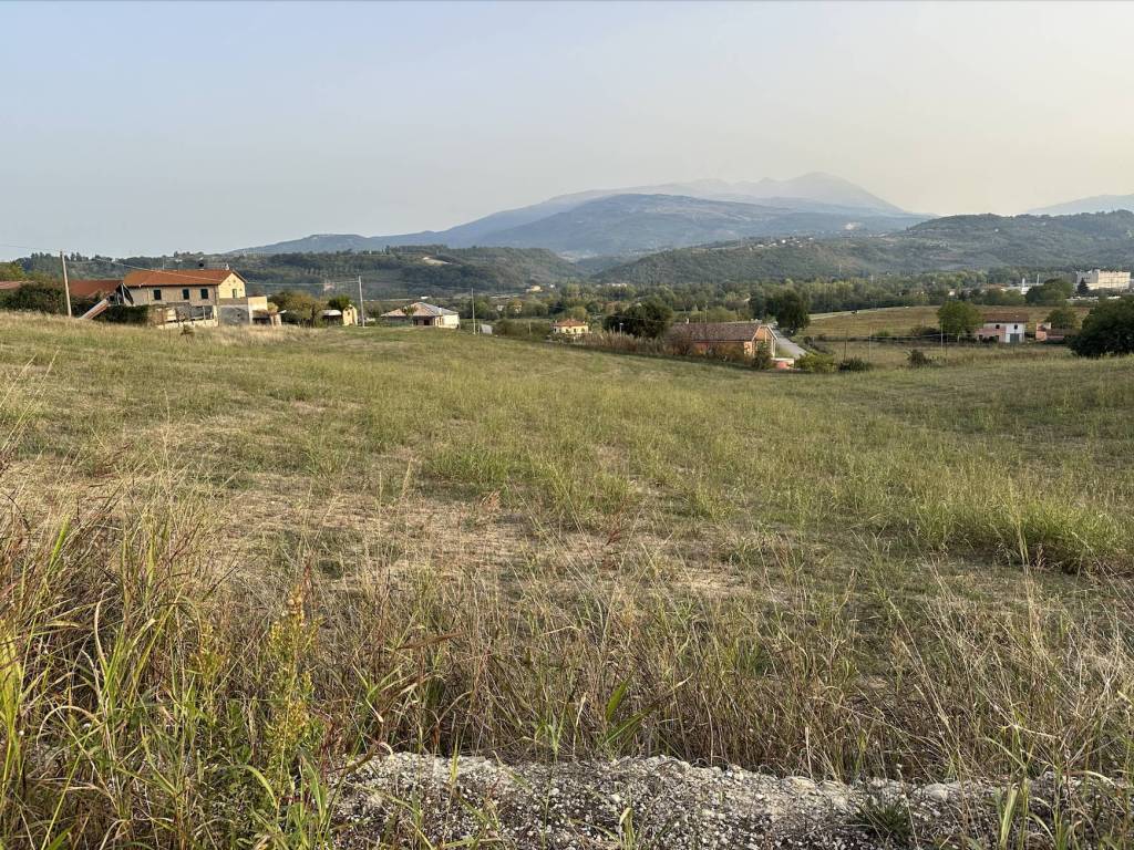 immagine annuncio 3 di 4