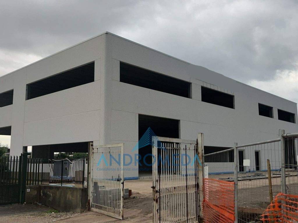 immagine annuncio 2 di 5