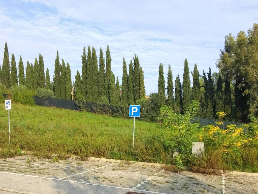 immagine annuncio 1 di 4