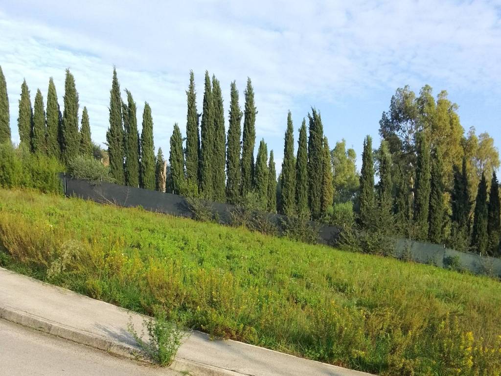 immagine annuncio 3 di 4