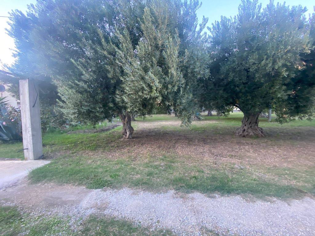 immagine annuncio 1 di 4