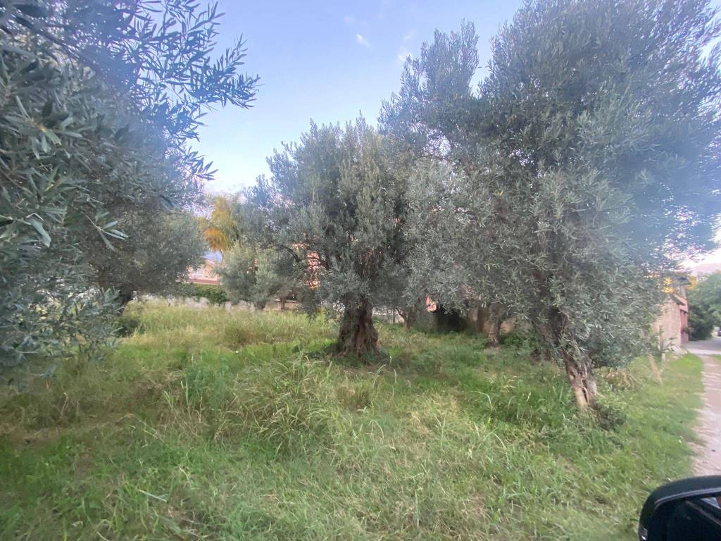 immagine annuncio 2 di 4