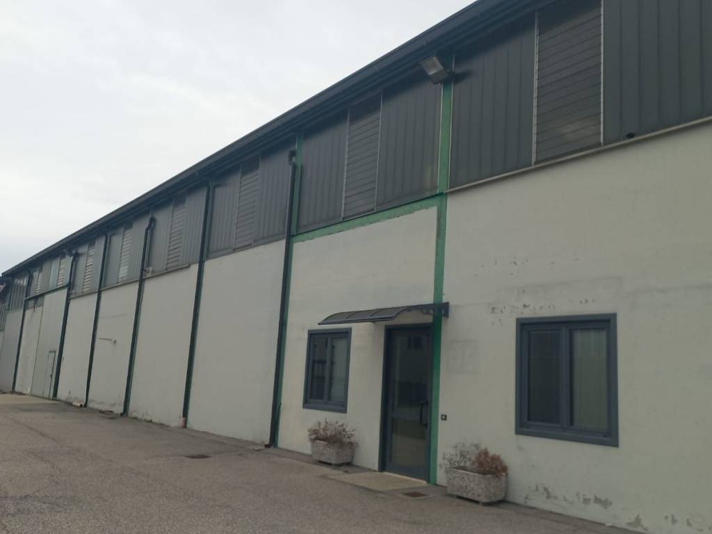 immagine annuncio 1 di 5