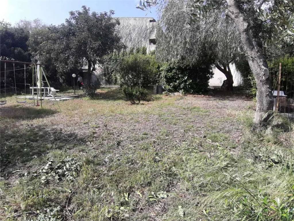 immagine annuncio 3 di 4