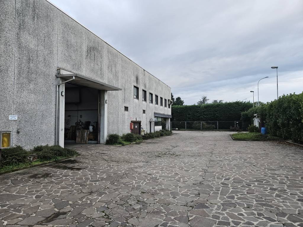 immagine annuncio 2 di 5