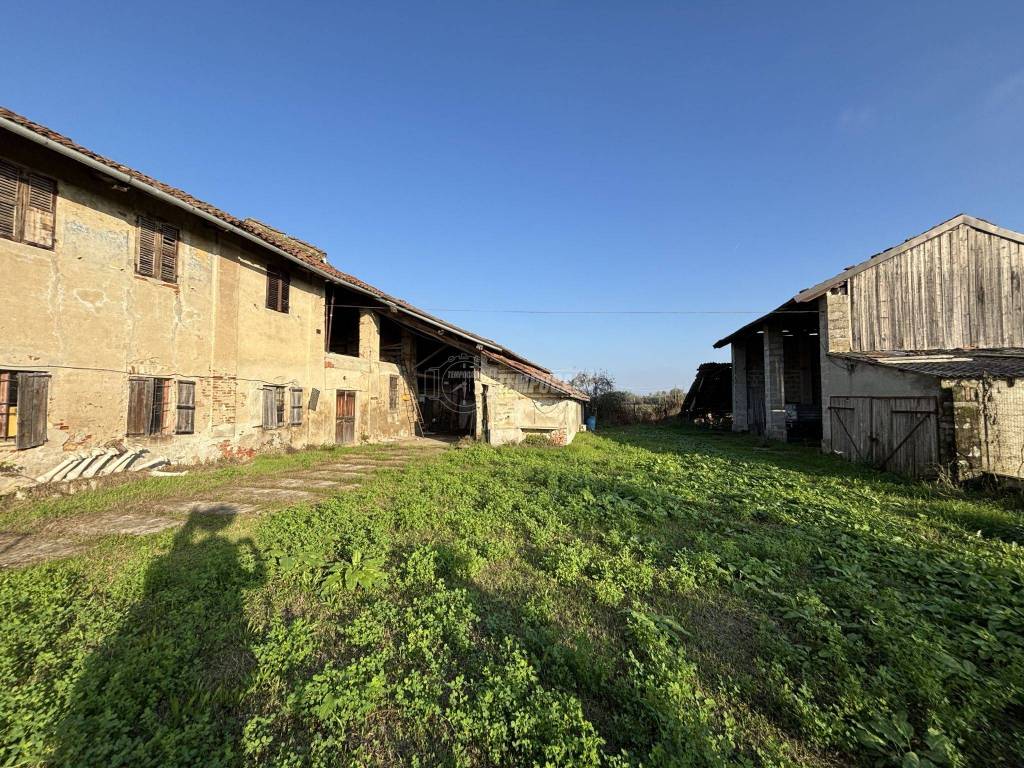 immagine annuncio 3 di 5