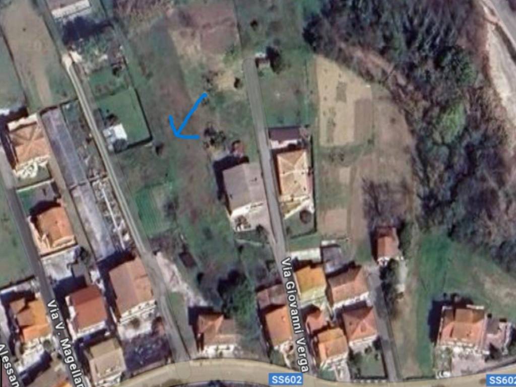 immagine annuncio 1 di 2