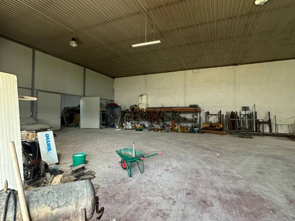 immagine annuncio 2 di 5