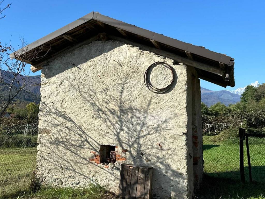 immagine annuncio 4 di 5