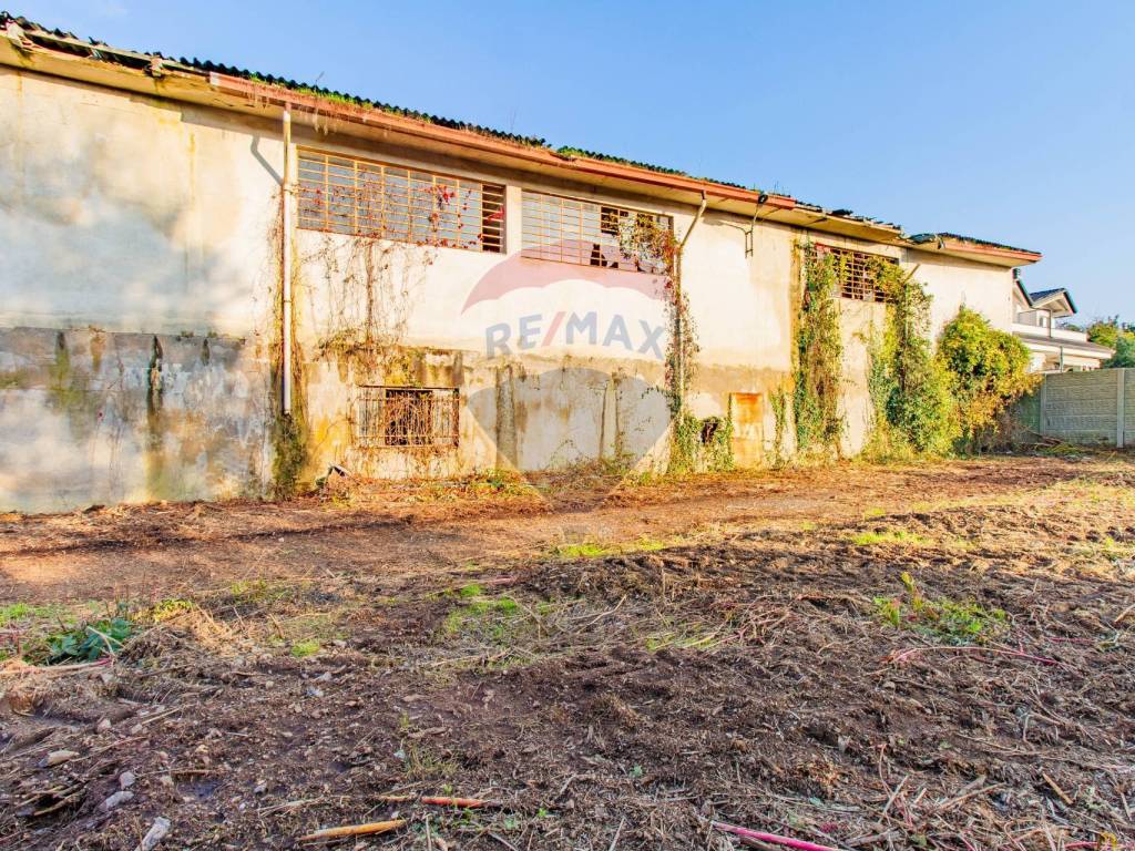 immagine annuncio 3 di 5