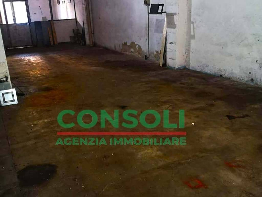immagine annuncio 2 di 4