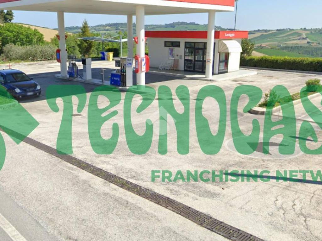 immagine annuncio 2 di 3