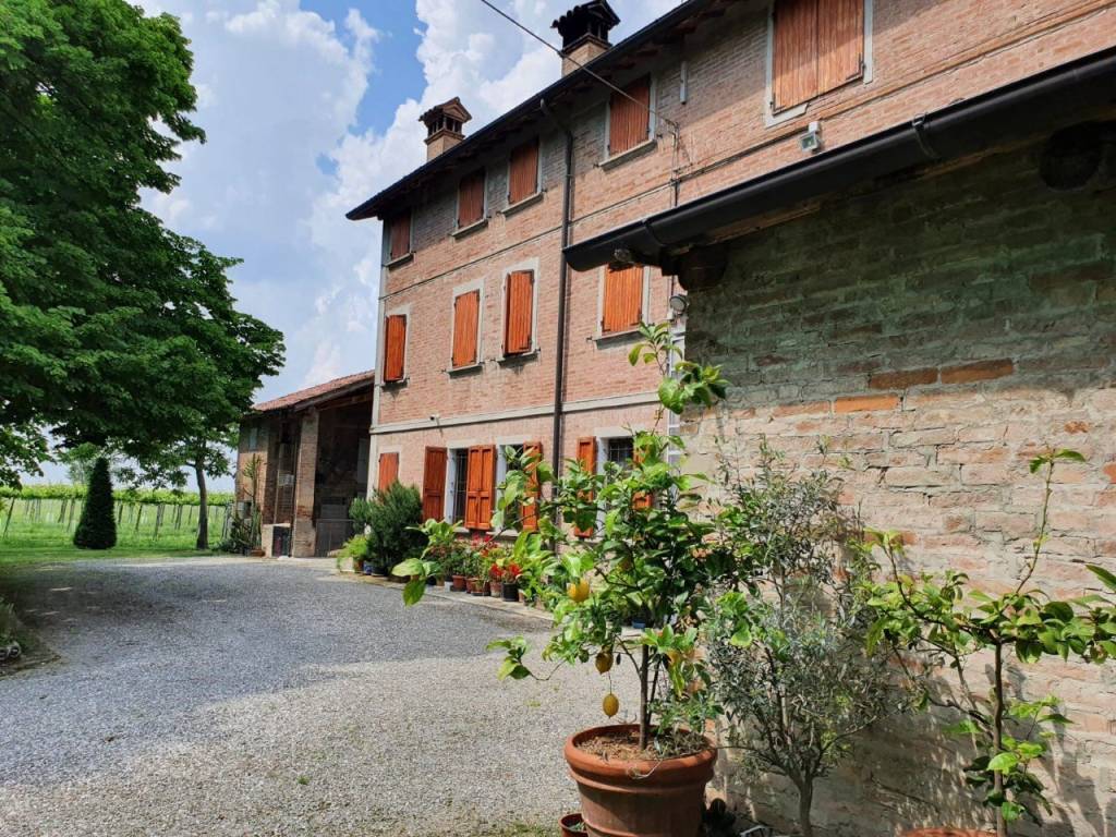 immagine annuncio 3 di 5