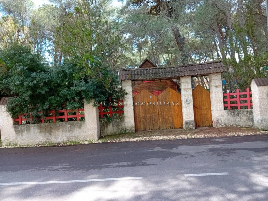 immagine annuncio 2 di 4