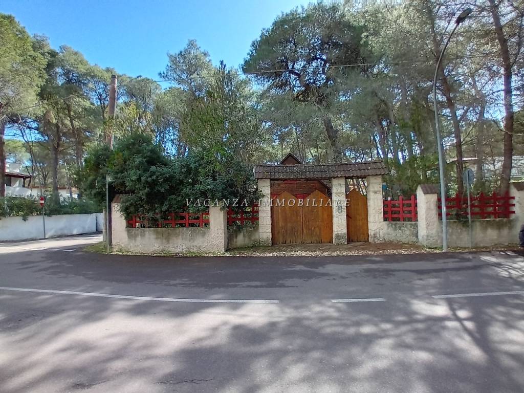 immagine annuncio 3 di 4