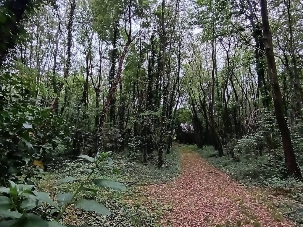 immagine annuncio 1 di 3