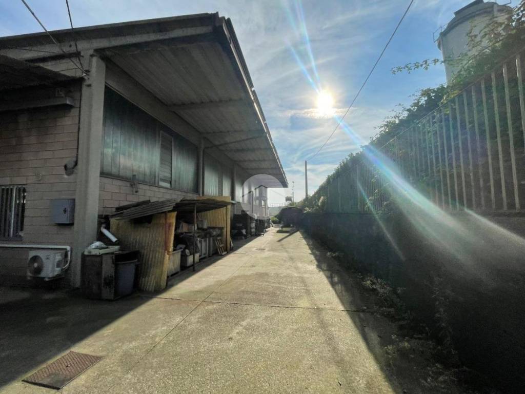 immagine annuncio 4 di 5