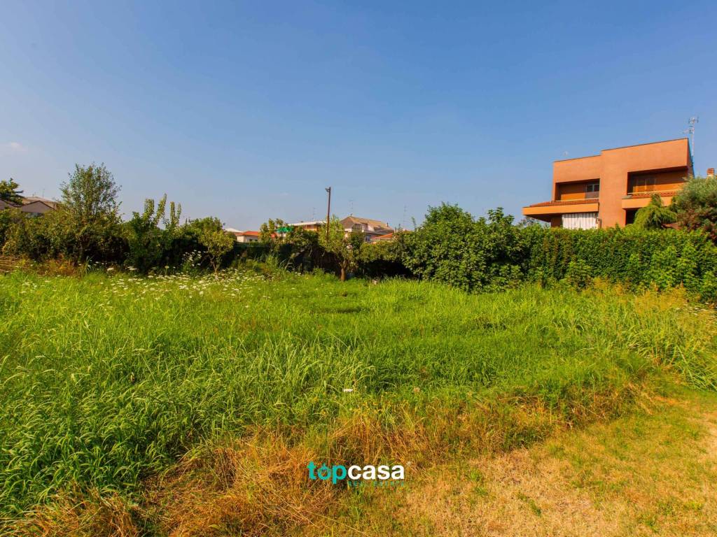 immagine annuncio 1 di 4