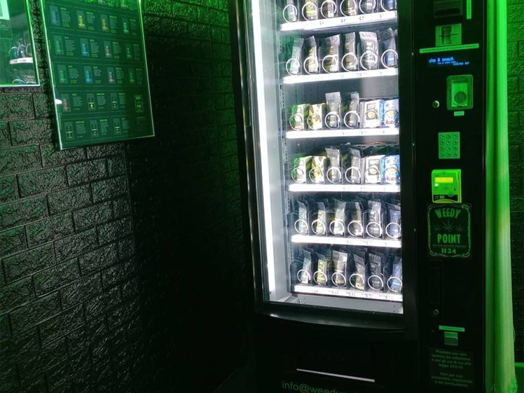 immagine annuncio 2 di 5