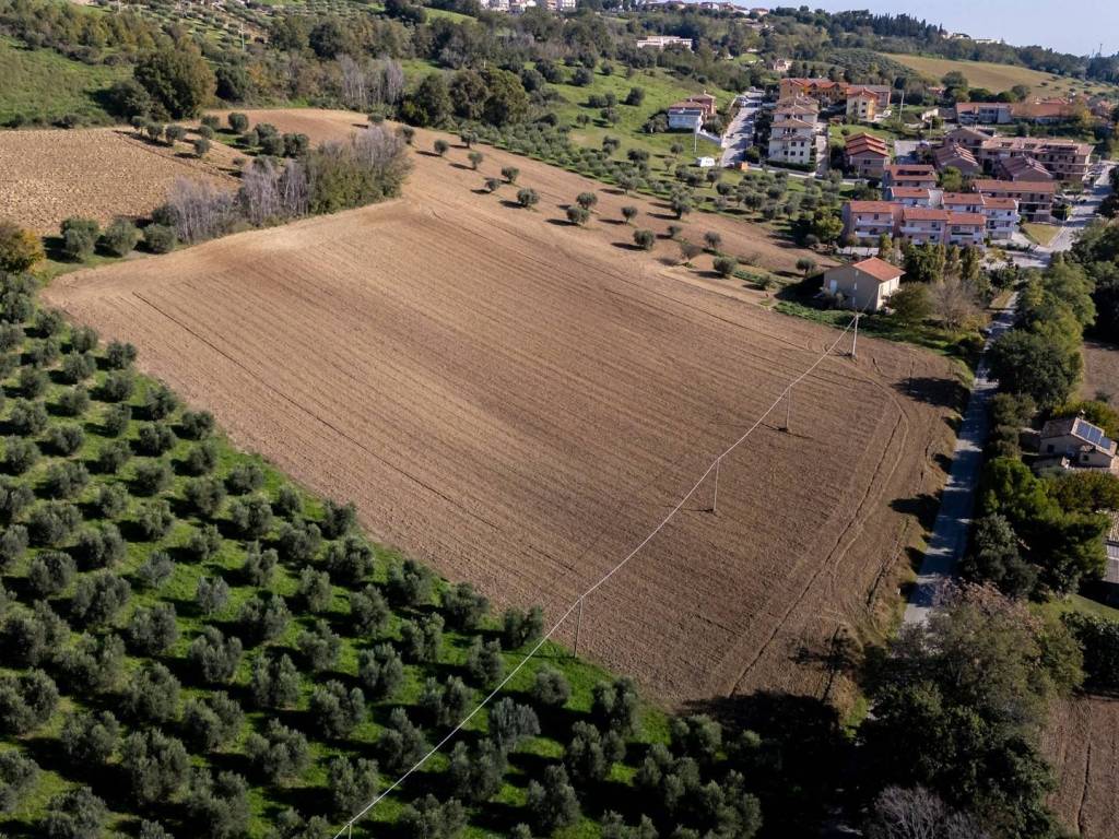 immagine annuncio 1 di 2