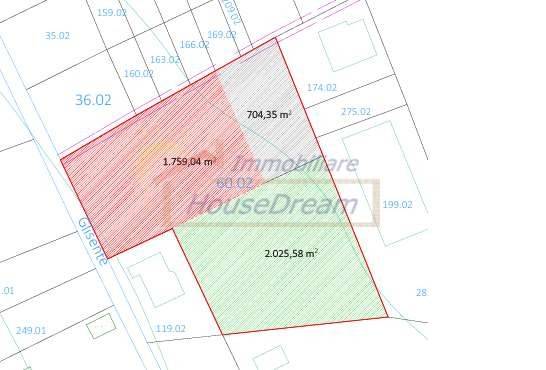 immagine annuncio 2 di 4