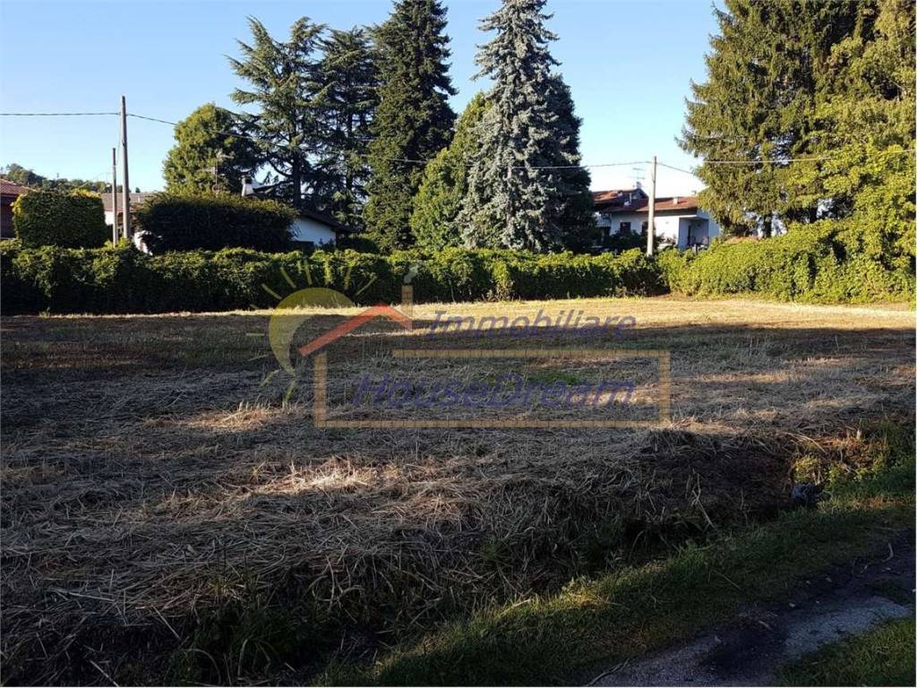 immagine annuncio 2 di 3