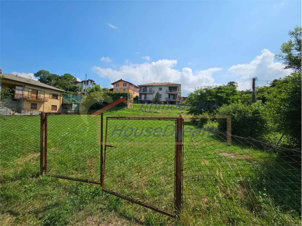 immagine annuncio 3 di 4