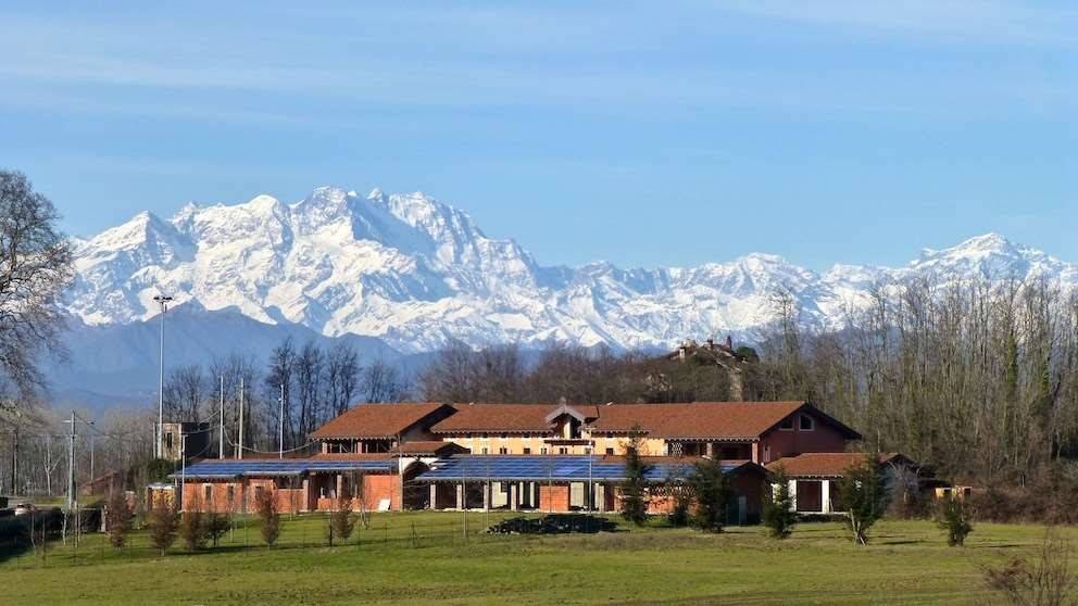 immagine annuncio 2 di 5