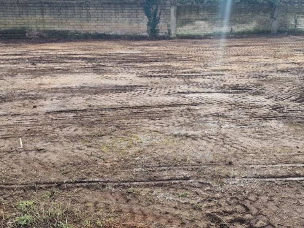 immagine annuncio 2 di 4