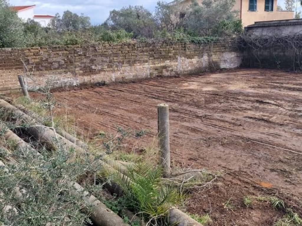 immagine annuncio 3 di 4