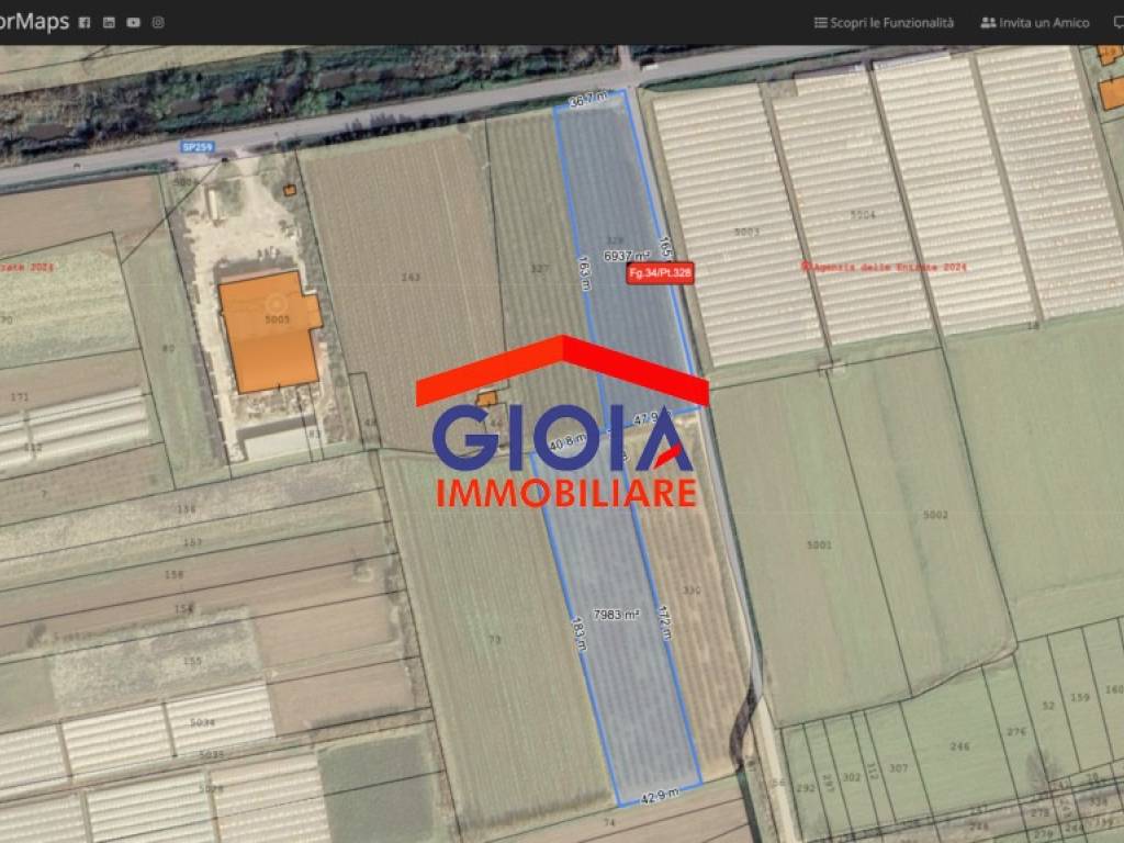 immagine annuncio 1 di 2
