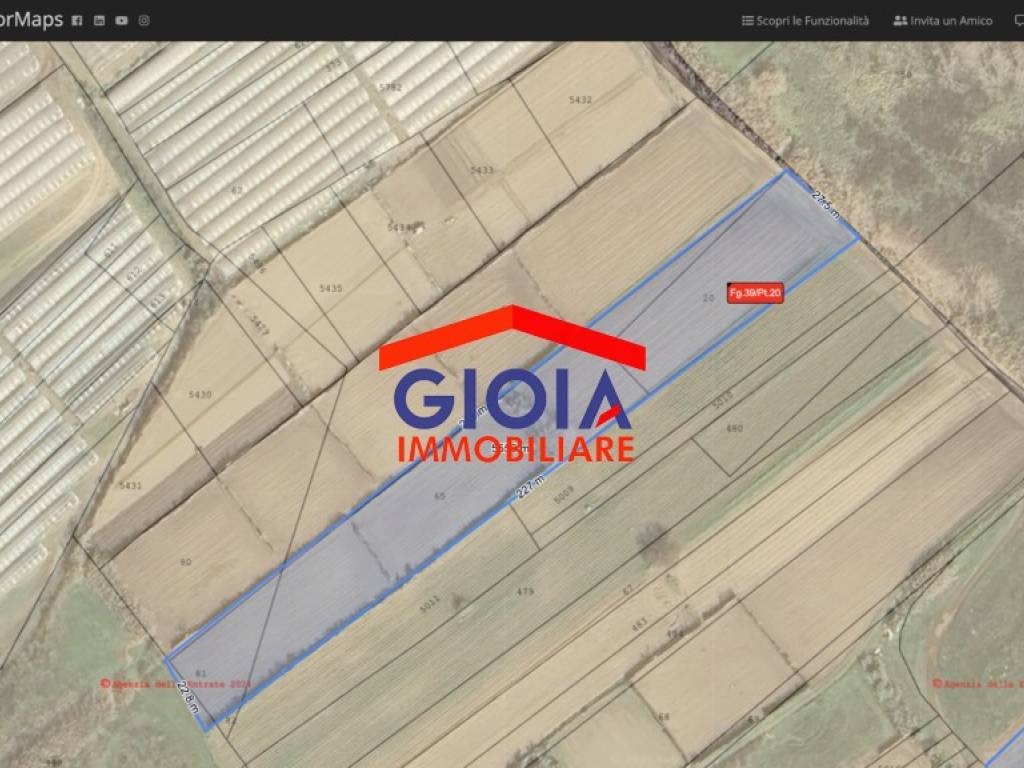 immagine annuncio 1 di 2
