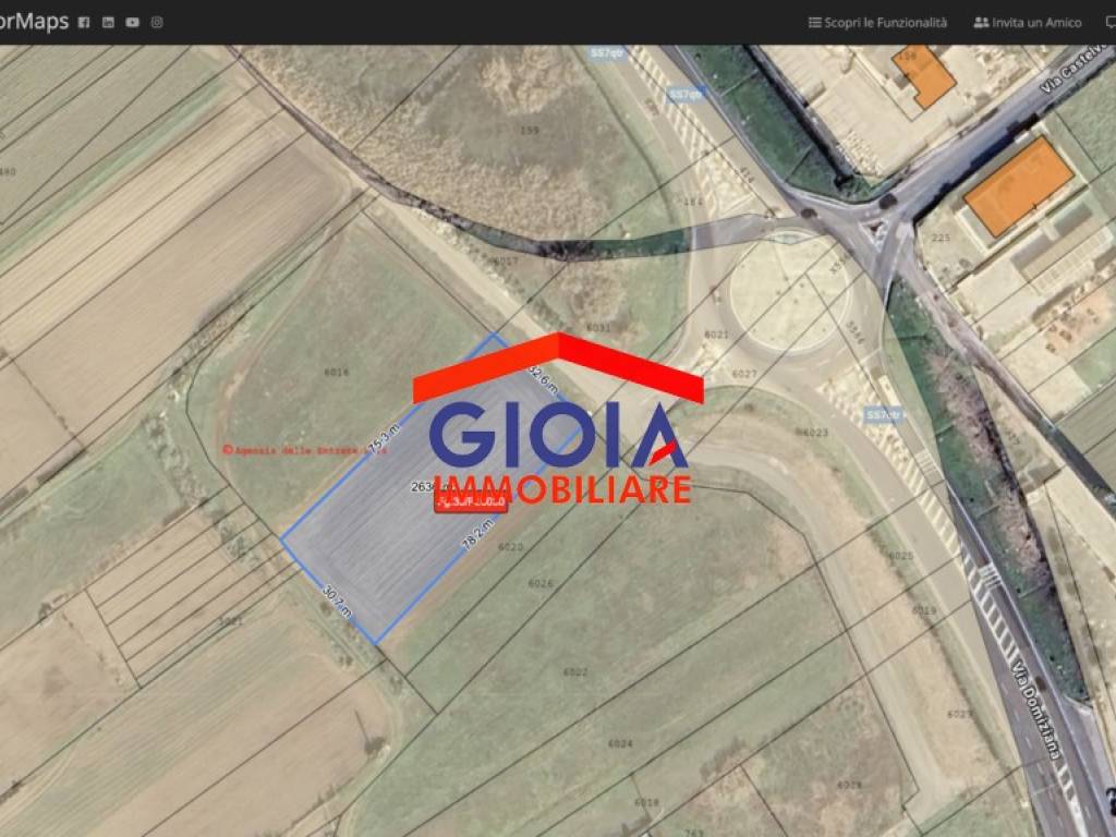 immagine annuncio 2 di 3