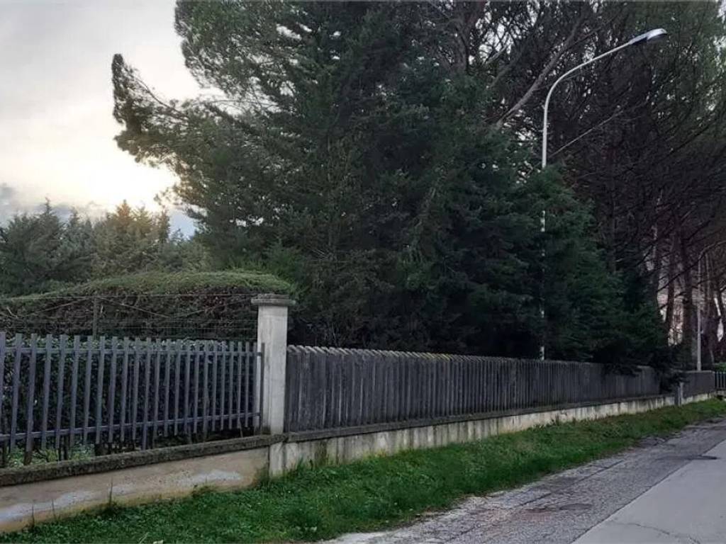 immagine annuncio 2 di 4