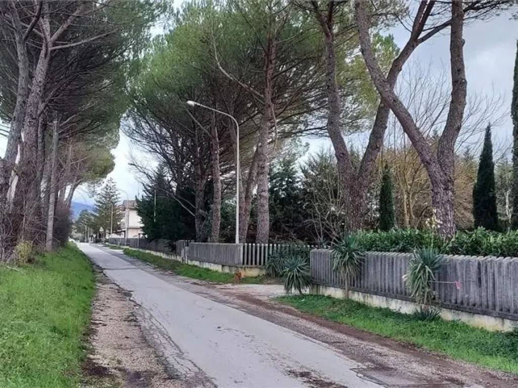 immagine annuncio 1 di 4