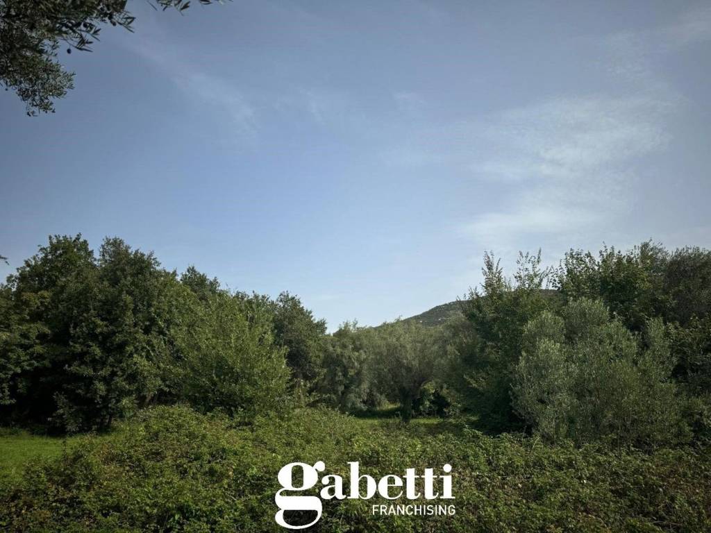 immagine annuncio 1 di 2
