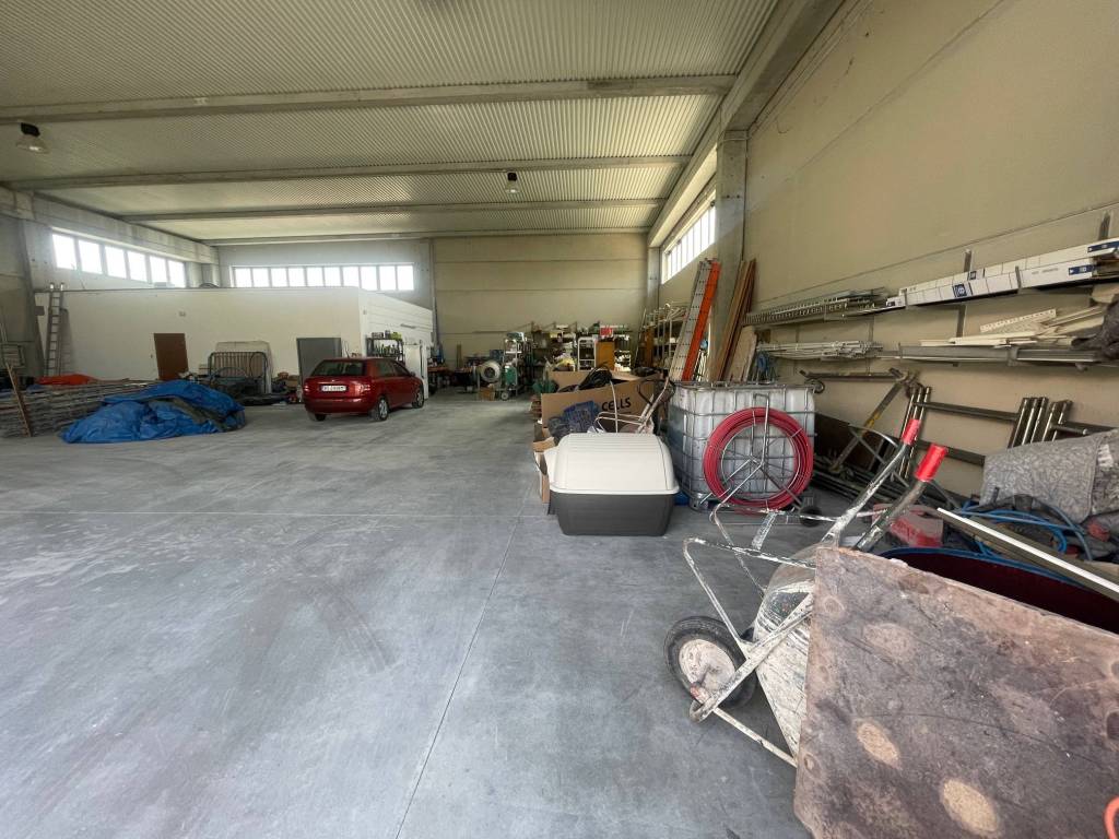 immagine annuncio 3 di 5