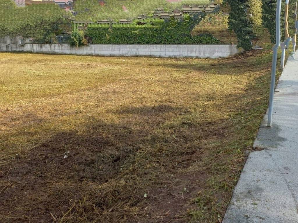 immagine annuncio 1 di 3
