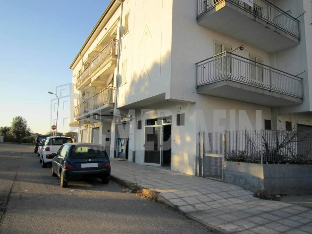 immagine annuncio 1 di 4