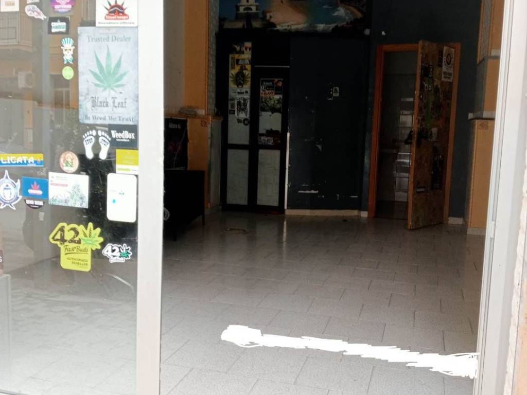 immagine annuncio 2 di 4