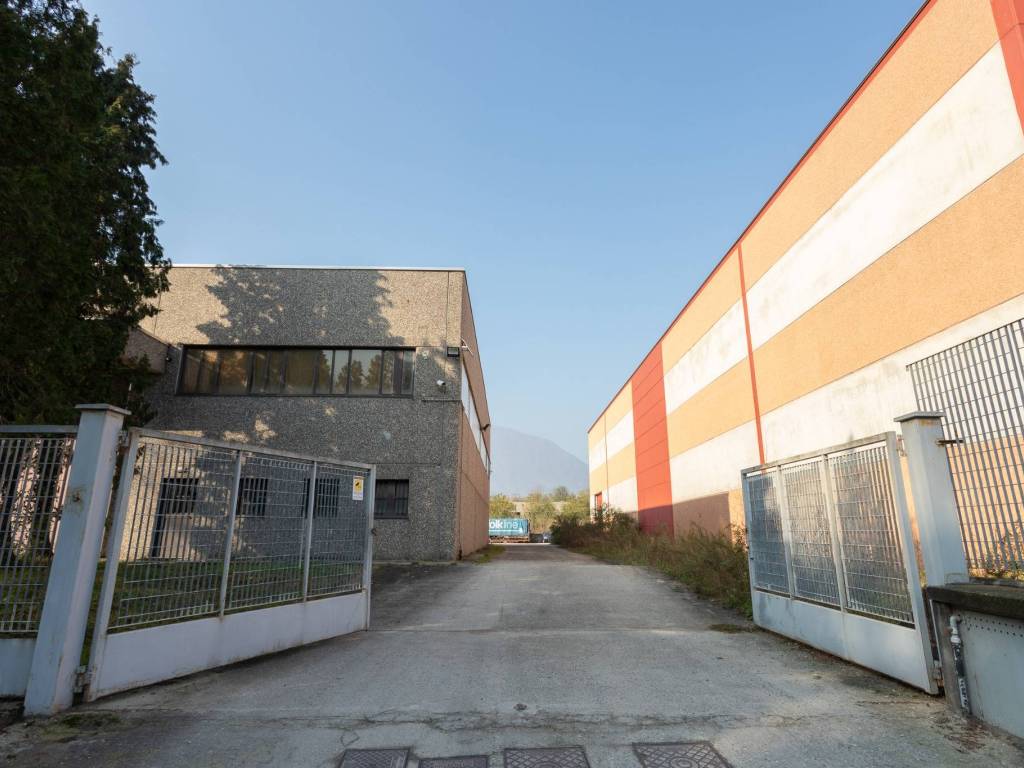 immagine annuncio 3 di 5