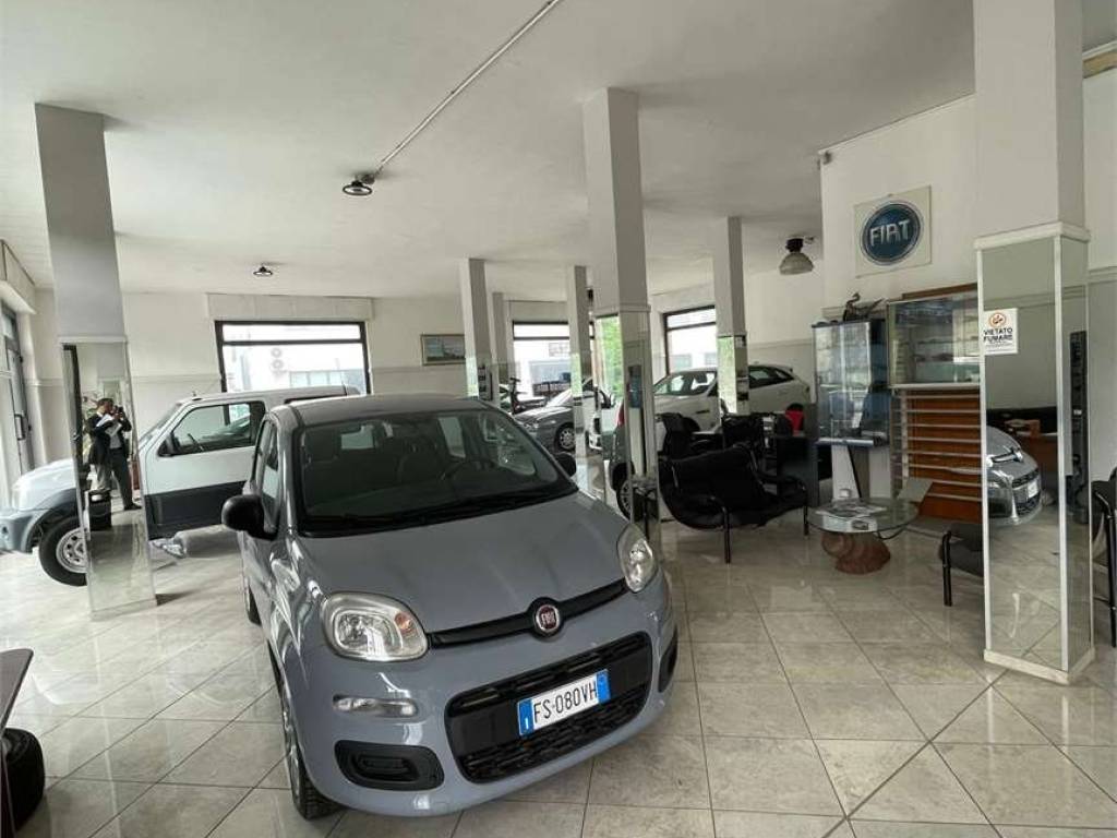 immagine annuncio 3 di 5