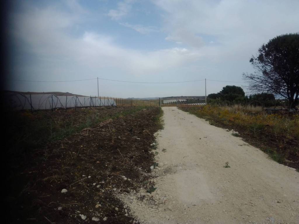 immagine annuncio 3 di 4