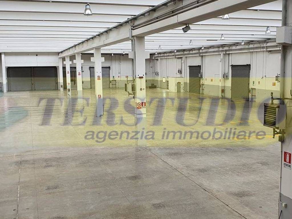 immagine annuncio 2 di 4