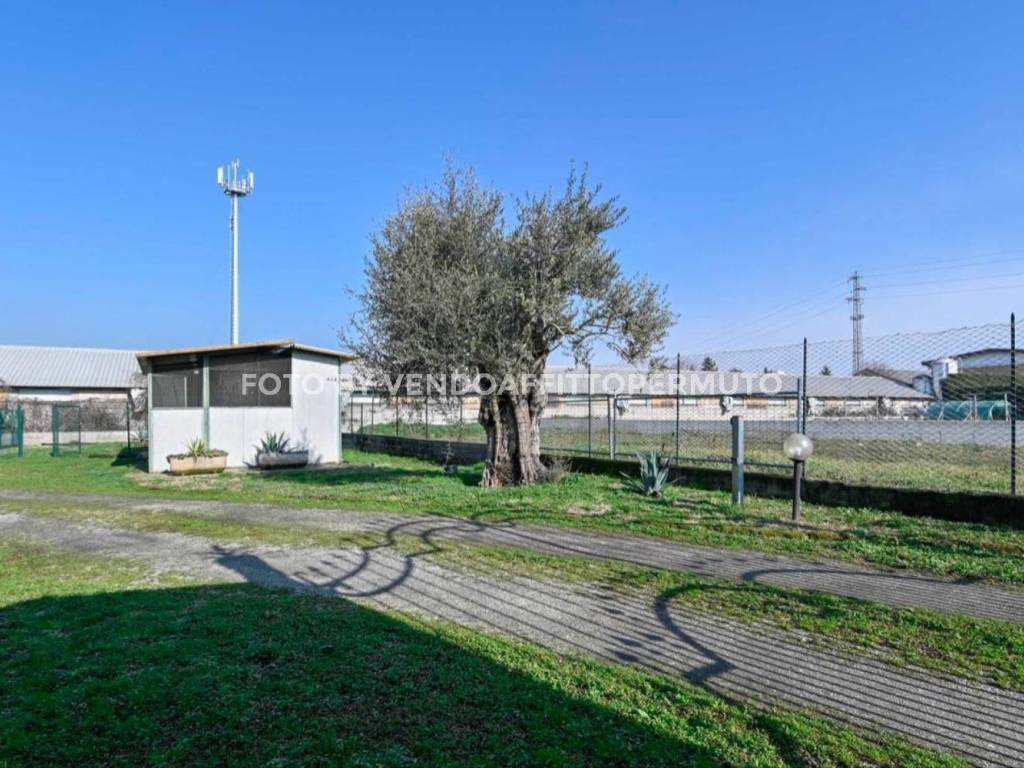 immagine annuncio 2 di 5