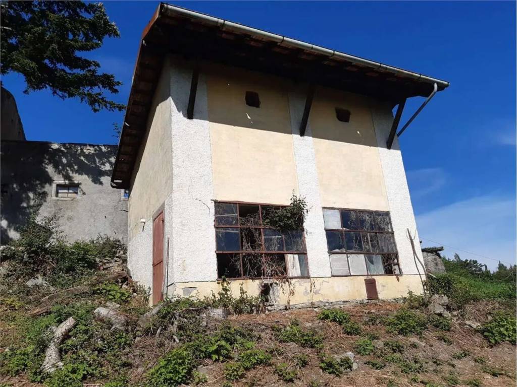 immagine annuncio 2 di 4