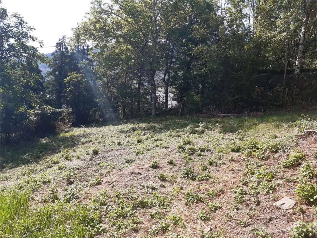 immagine annuncio 3 di 4