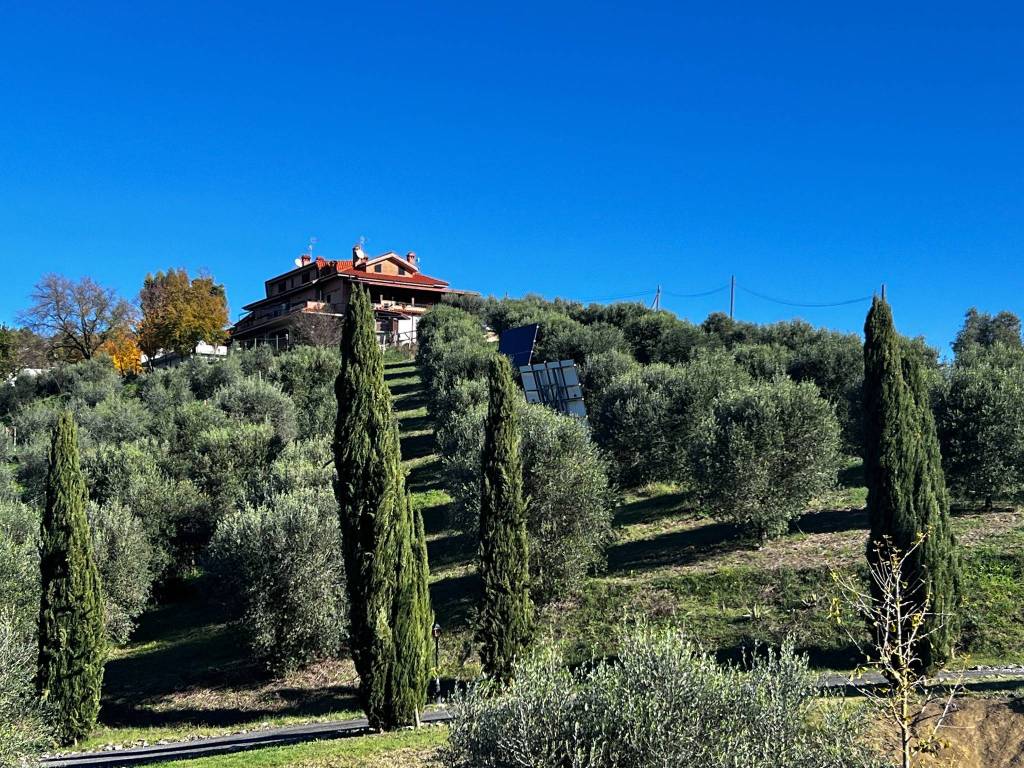 immagine annuncio 1 di 4