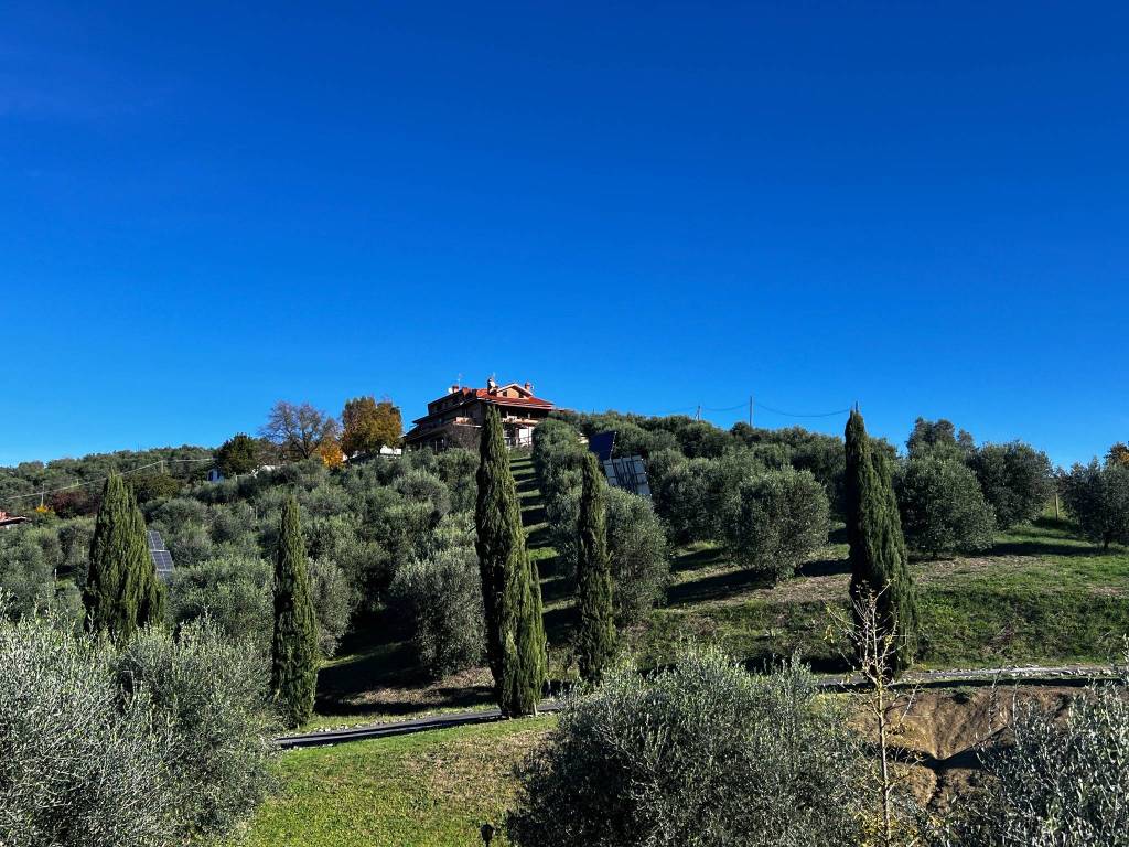 immagine annuncio 2 di 4