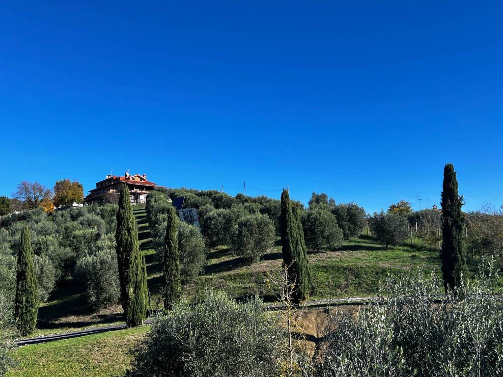 immagine annuncio 3 di 4